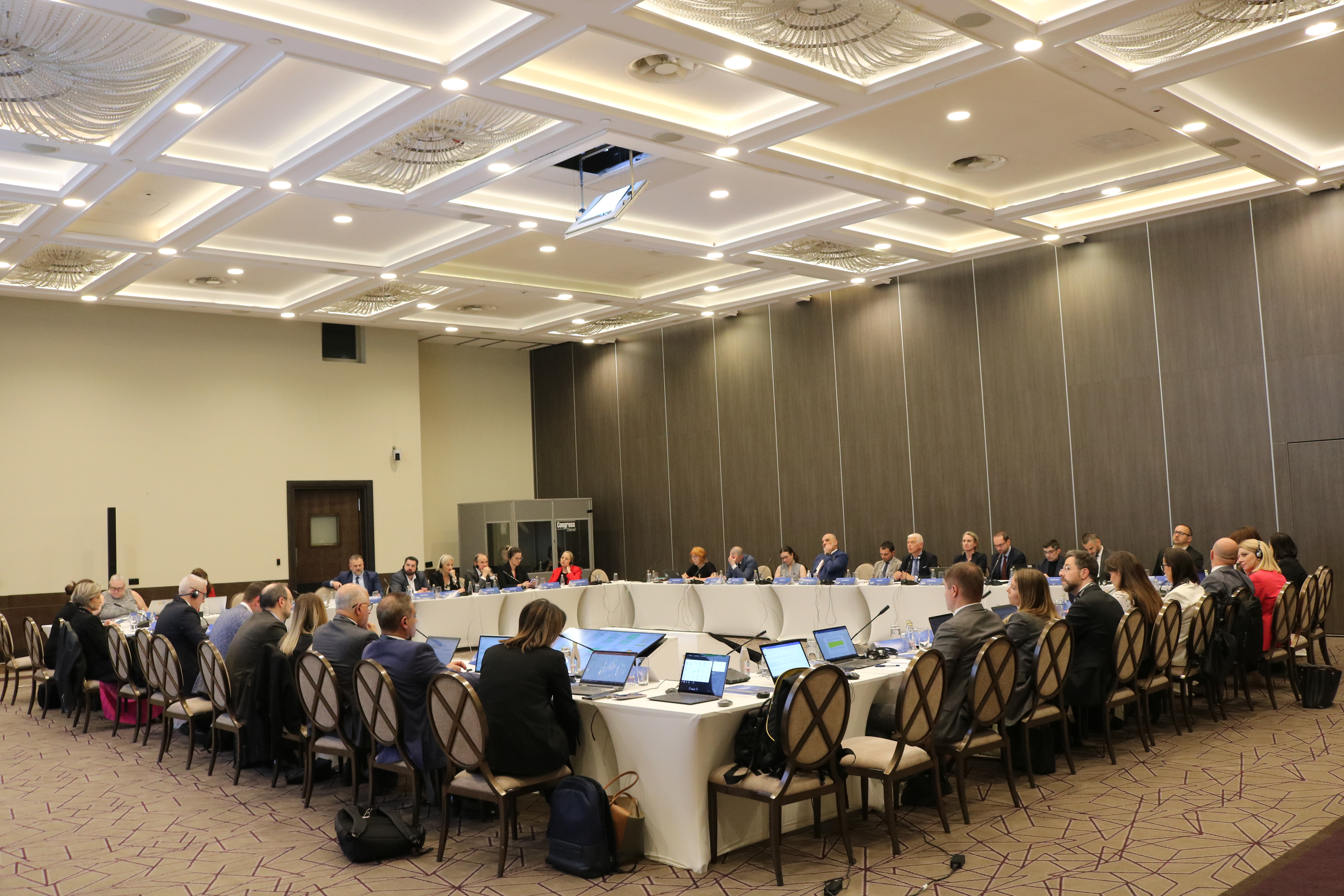 17th Regional Network of National CT-P/CVE Coordinators (RNNC) of the WB
